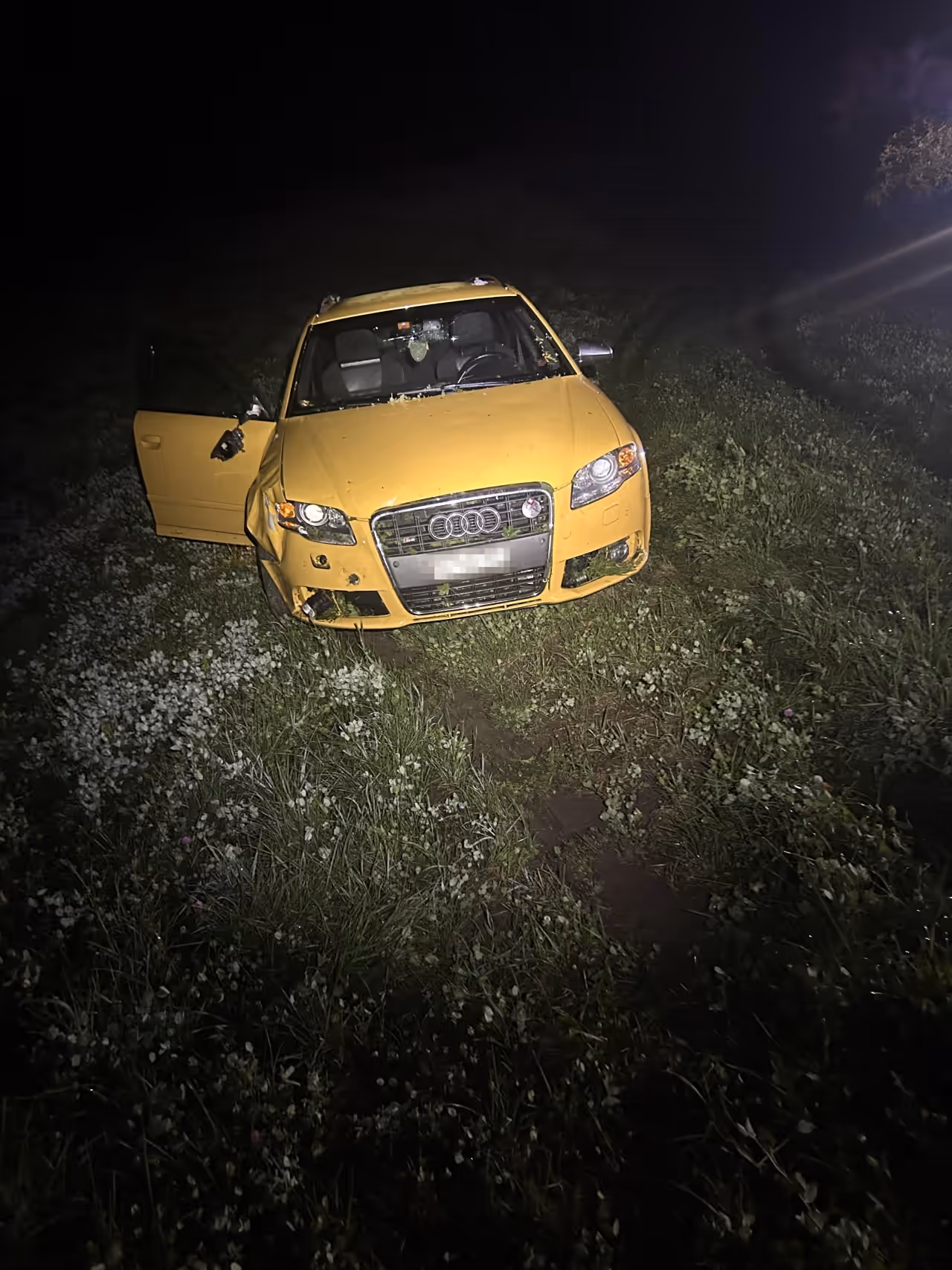 Beschädigter gelber Audi in Wiese stehend.