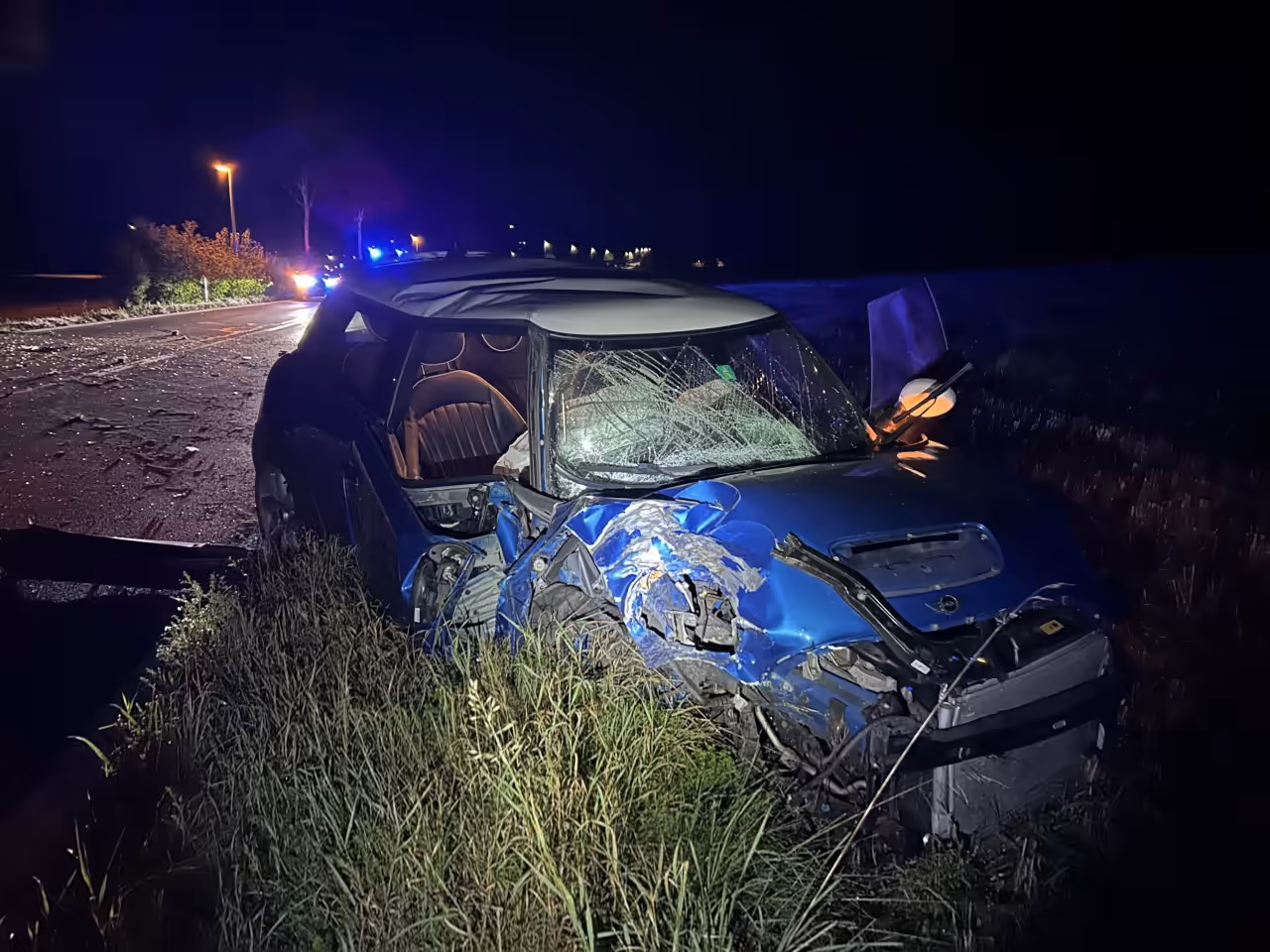 Stark beschädigter Mini steht im Wiesland.