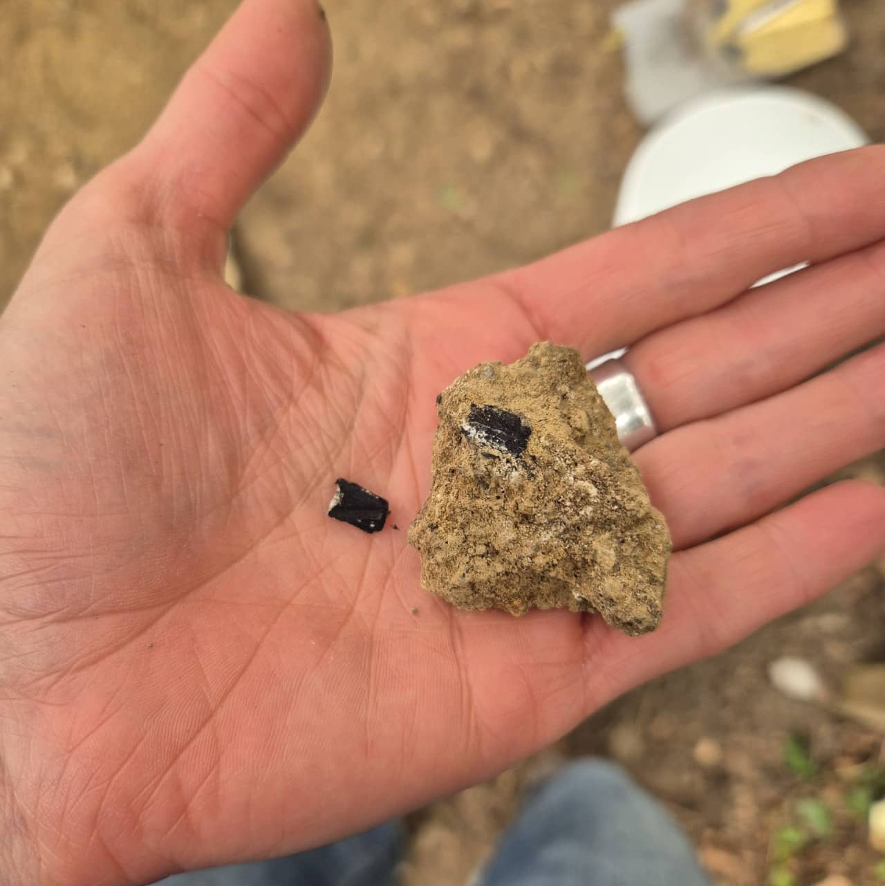 Zwei kleine Holzkohlestückchen in Erdklumpen auf Handfläche.