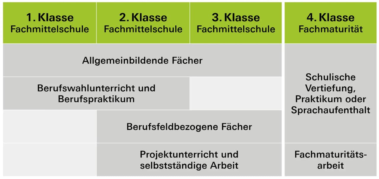 Grafik mit der Struktur der FMS auf die vier Klassen verteilt.