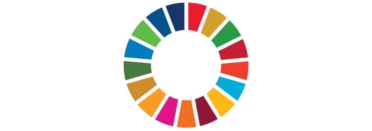 SDG Wheel