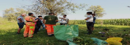 Interessierte an einem Neophyten Bestimmungskurs auf dem Feld