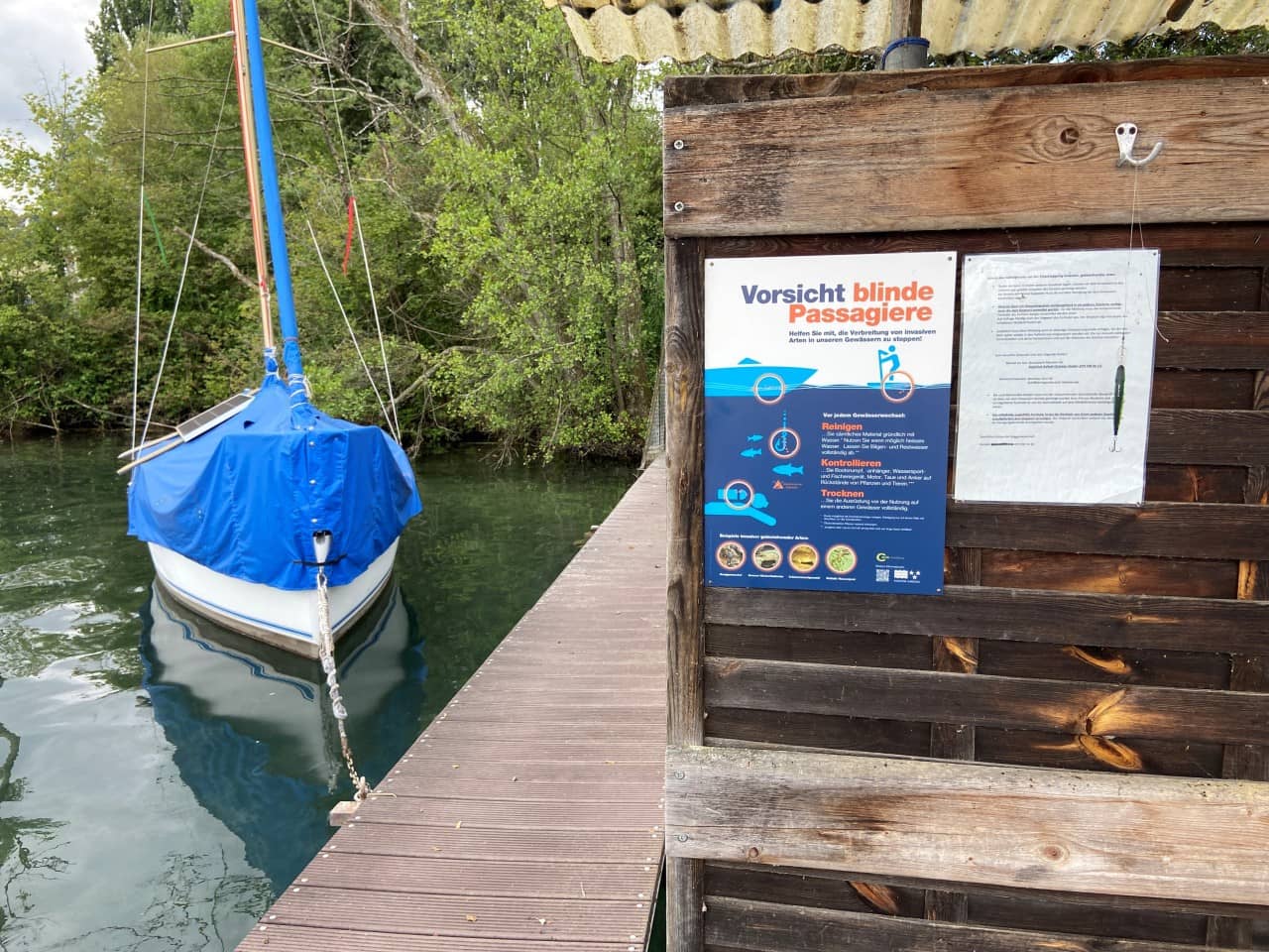 Ein Foto von einem Boot auf dem Hallwilersee. Daneben ist auf dem Bootssteg ein Plakat der Kampagne "Vorsicht blinde Passagiere" aufgehängt.